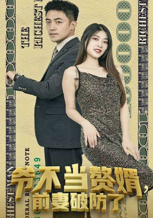 爷不当赘婿，前妻破防了（80集）短剧更新抢先看
