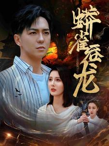 蟒雀吞龙（91集）最新热门短剧