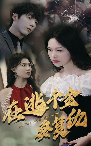 在逃千金要复仇（98集）评价怎么样