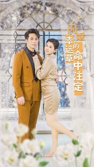 闪婚幸运草的命中注定（82集）免费看短剧