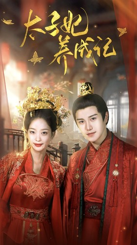 太子妃养成记（97集）观看软件