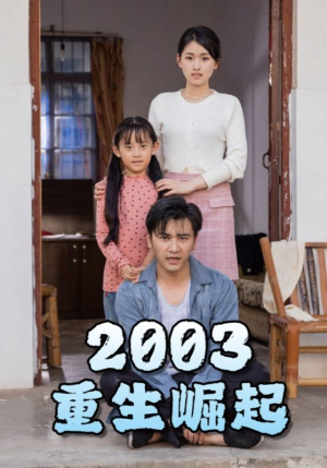重生崛起2003（100集）免费版