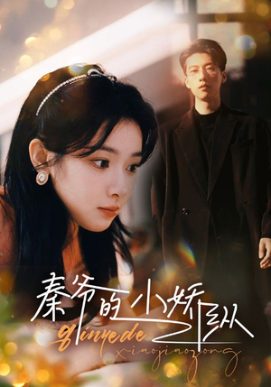 秦爷的小娇纵（96集）演的怎么样
