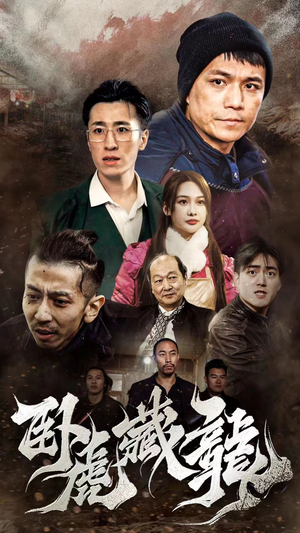卧虎藏龙（92集）我全都看完了