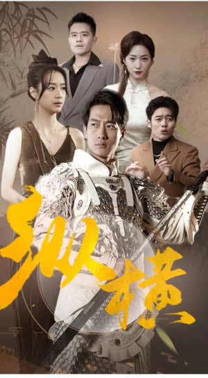 纵横（100集）短剧热门合集