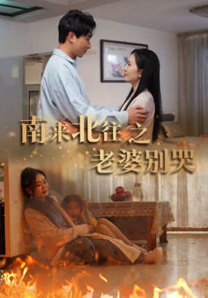 南来北往之老婆别哭（87集）夸克网盘在线看