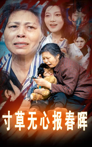 孝子慈孙（31集）第二季