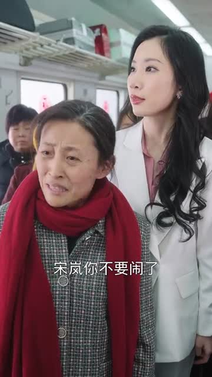 春运归途团圆年（40集）360网盘观看