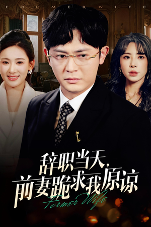 辞职当天，前妻哭着求我原谅（23集）经典老剧免费看