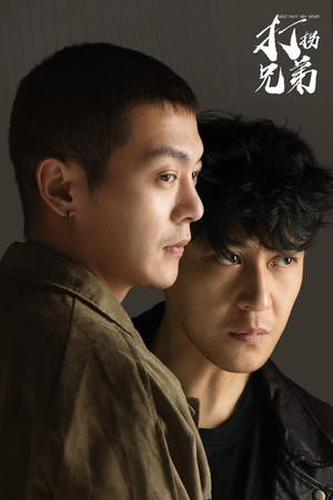 打拐兄弟（30集）火爆短剧来袭