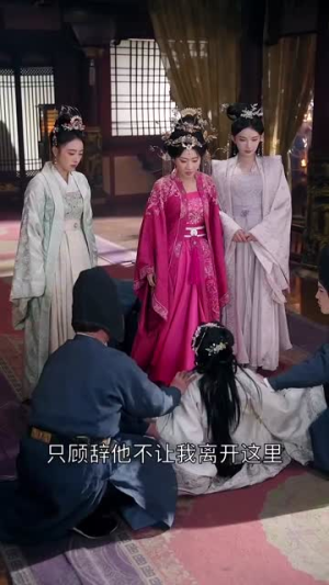 宫锁南枝（31集）短剧在线更新