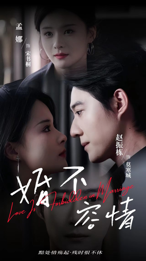 婚不容情（89集）在线看完整版