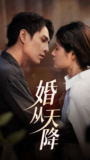 婚从天降（92集）短剧免费观看
