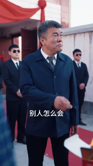 回家过年遇到极品亲戚（29集）短剧全集免费