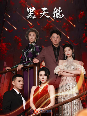 黑天鹅（51集）精彩短剧推荐