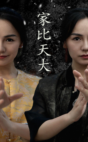 家比天大（63集）超好看古装短剧