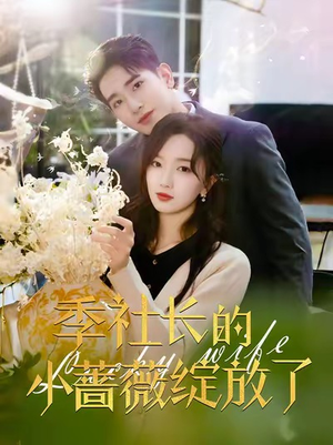 季社长的小蔷薇绽放了（60集）熬夜追短剧