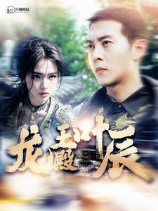 龙王殿叶辰（100集）无需会员免费看