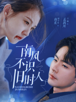 南风不识旧时人（63集）熬夜追短剧