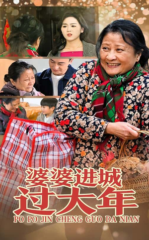 婆婆进城过大年（33集）短剧免费看全集