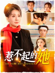 惹不起的她（106集）在线看完整版
