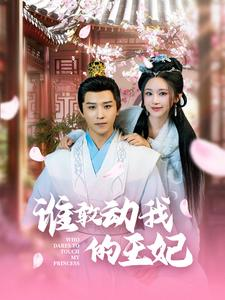 谁敢动我的王妃（62集）全季一次看完
