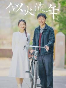 似火流年（100集）短剧太好看了