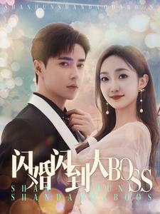 闪婚闪到大BOOS（76集）热门短剧推荐。