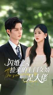 闪婚之捡来的上门女婿是大佬（79集）免费看