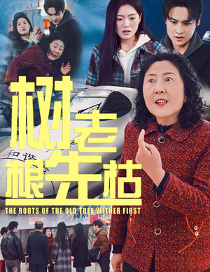 树老根先枯（33集）在哪个平台看好