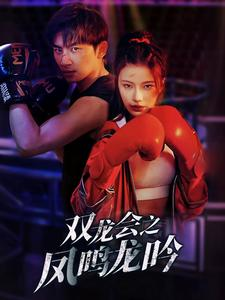 双龙会之凤鸣龙吟（80集）在线播放