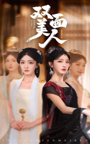 双面美人（30集）一共多少集