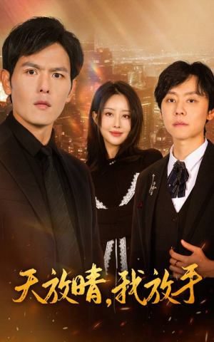 天放晴，我放手（35集）短剧全集更精彩