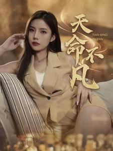 天命不凡（28集）百度网盘在线看