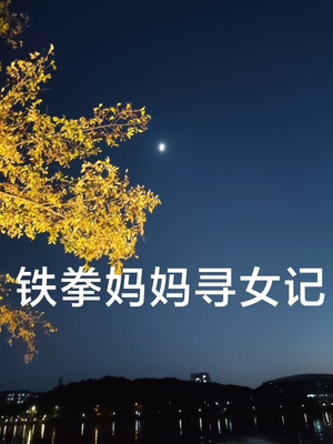 铁拳妈妈寻女记（69集）常回家看看短剧