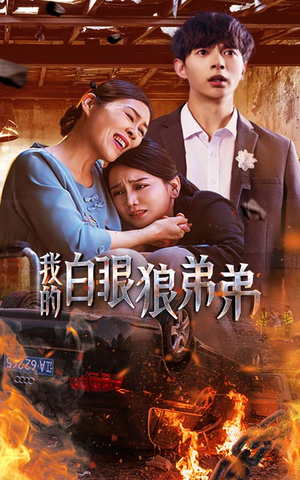 我的白眼狼弟弟（69集）在线免费观影