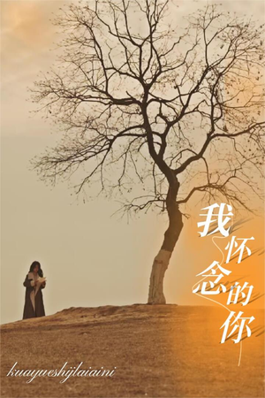 我怀念的你（38集）一个短剧看全集