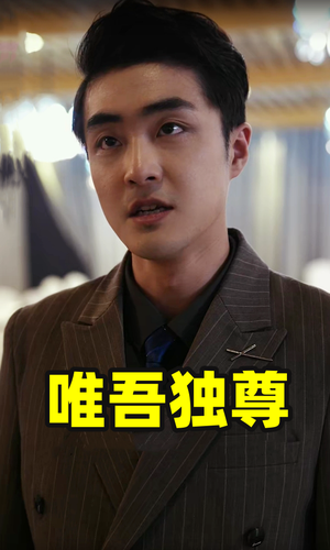 唯吾独尊（96集）热门短剧排行榜