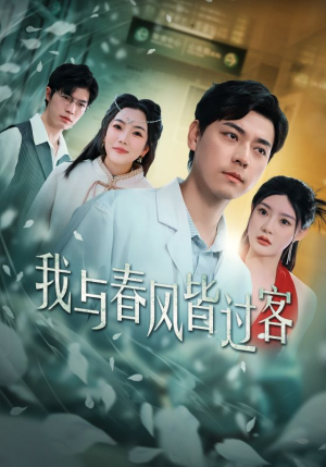 我与春风皆过客（35集）全集免费