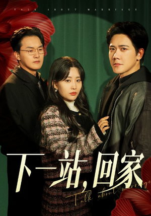 下一站，回家（42集）最新热剧免费看