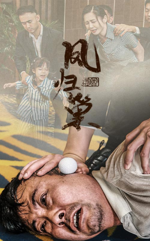 新版：凤归巢（68集）热门短剧追不停