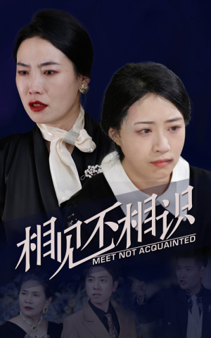 相见不相识（34集）在线看