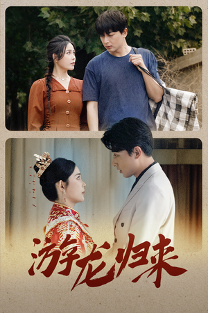 游龙归来（67集）全季一次看完