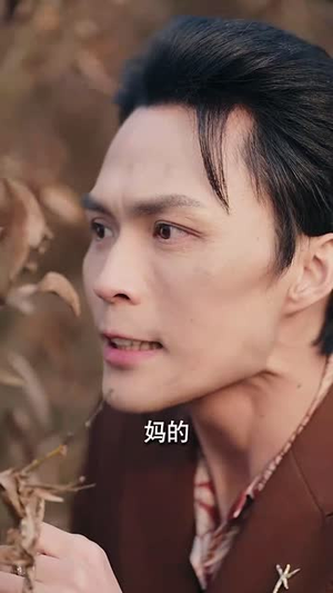 岛上升明月（60集）第三季