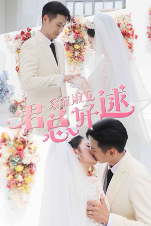 窈窕淑女，君总好逑（85集）口碑之选免费看