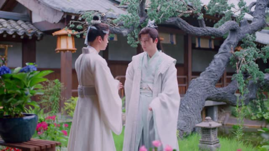 颜无双（24集）在哪个平台能看