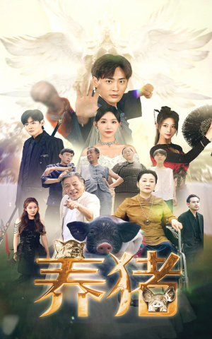 养猪（74集）百度网盘在线看