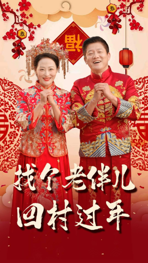 找个老伴儿回村过年（58集）观看软件