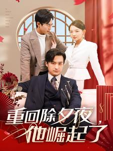 重回除夕夜他崛起了（89集）热门短剧免费看