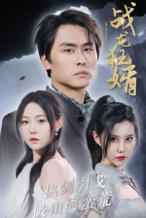 战龙狂婿（69集）全集免费
